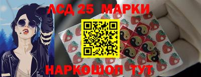 шишки Обнинск