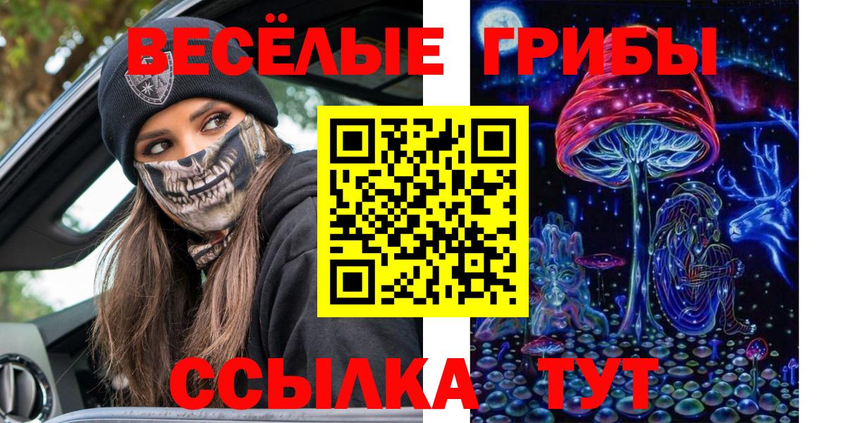 Псилоцибиновые грибы Psilocybe  Вход с VPN  Среднеуральск  Псилоцибиновые грибы Magic Shrooms 