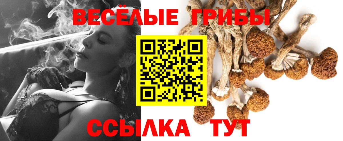 Псилоцибиновые грибы ЛСД Среднеуральск